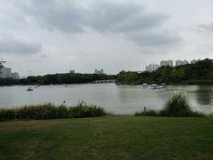 -昆山城市生态森林公园