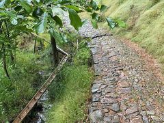 -宁波浙东大竹海景区