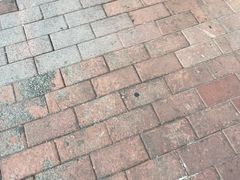 -胡桃里乐队酒馆(广州塔店)