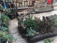 -滇藏石锅宴(北门坡古城管理局店)