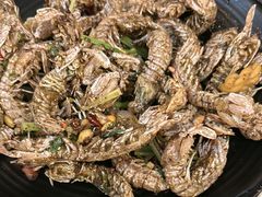 -指爱龙虾(金杨路总店)