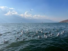 -大理洱海