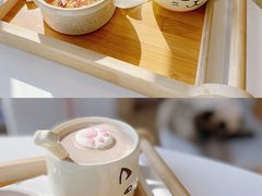 -猫小主咖啡·猫咖cat cafe(福田店)