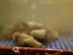 -健眺小海鲜(临海后山店)