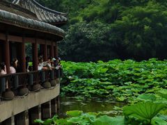 -龙头寺公园
