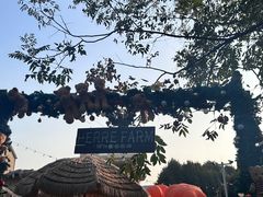 -HERRE·FARM 赫尔露营农场·团建聚会包场