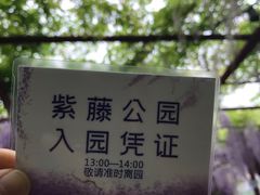 -嘉定紫藤园