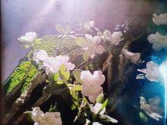 -仟汇足道·SPA(秀洲总店)