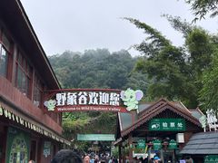 -野象谷景区