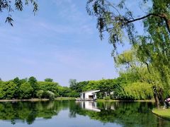 -上海共青森林公园