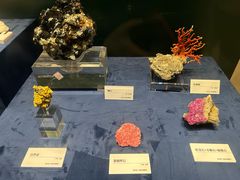 -国家自然博物馆