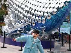 -海合安成都极地海洋公园