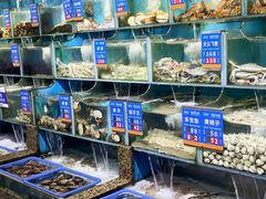 -海味当家·蒸锅海鲜(星海公园店)