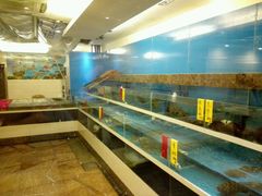 -凤凰轩·尾牙宴·生日宴(十里银滩店)