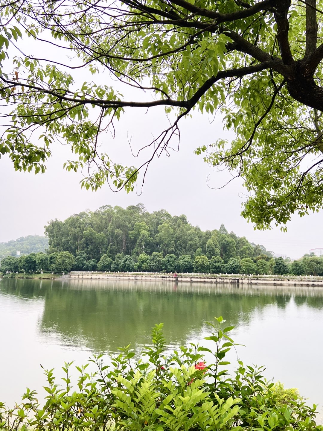 广州金山湖图片