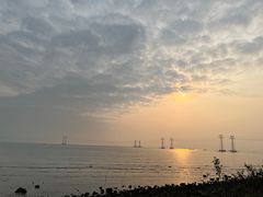 -宝安西湾红树林湿地公园