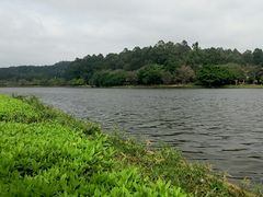 -南国桃园旅游度假区