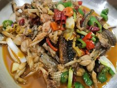 -龙小海荆沙鸽子店(瑞安街店)