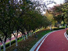 -马栏河运动公园