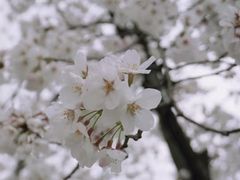 -龙美术馆西岸馆-停车场