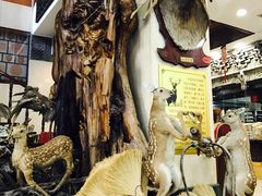 -乔家满族八大碗(流水沟店)