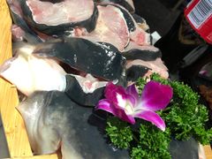 -鱼豆吉·豆浆鱼火锅(宜昌万达店)