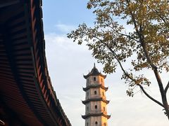 -江心屿景区