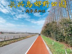 -上海长兴岛郊野公园