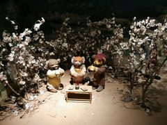 -成都泰迪熊博物馆