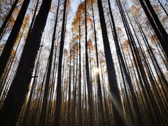 -山王坪喀斯特国家生态公园
