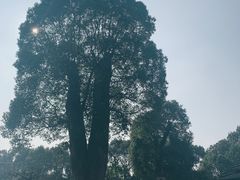 -韩湘水博园