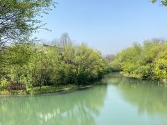 -西溪国家湿地公园