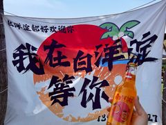 -白洋淀景区