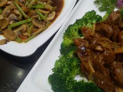 -东北老猎人(新居里店)