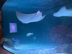 -沈阳海洋探索中心