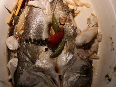 清蒸鲈鱼-绿茶餐厅(成都大悦城店)