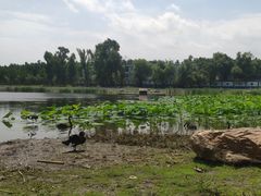 -长春市南湖公园