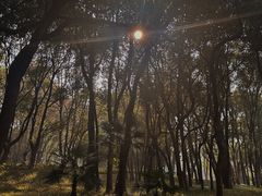 -东湖落雁景区