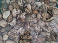 -蓝珊甄选海鲜自助·火锅大排档(近阿那亚店)
