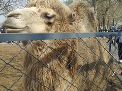 -长白岛森林公园