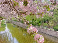 -元大都城垣遗址公园