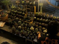 -席娜卡琳火车铁道夜市