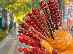 -三里屯东五街银杏大道