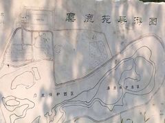 -北京麋鹿生态实验中心