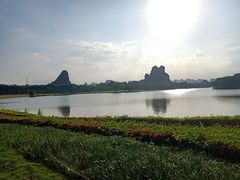 -南宁花花大世界景区