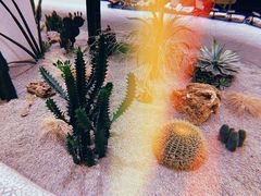 -OUR Bakery(SKP-S店)