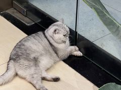 -Oasis绿洲银饰珍珠手作diy(壹方城店)