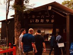 -岚山猴子公园