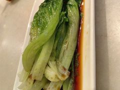 -金鼎轩(方庄天坛店)
