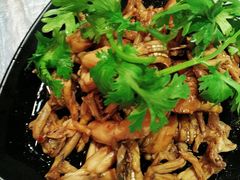-巴厘龙虾·榜首油焖大虾(音乐学院·沿江酒馆店)